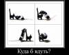 x_dfeeb18d